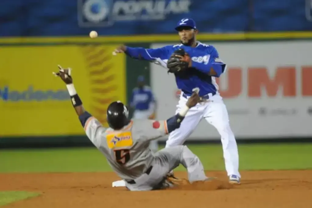 Dominican Winter League Baseball