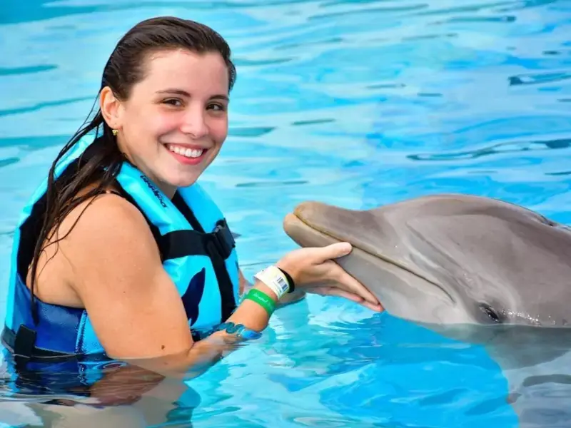 Dolphin Encounter