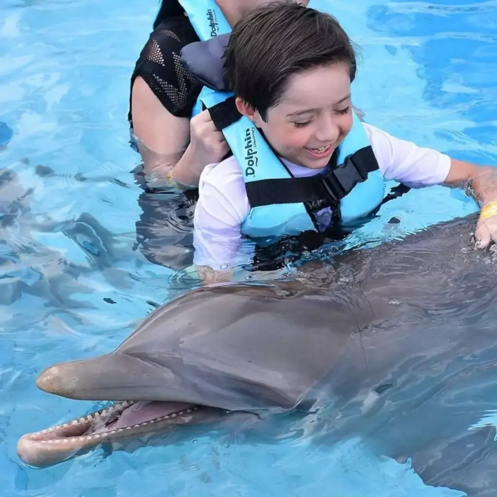 Dolphin Encounter