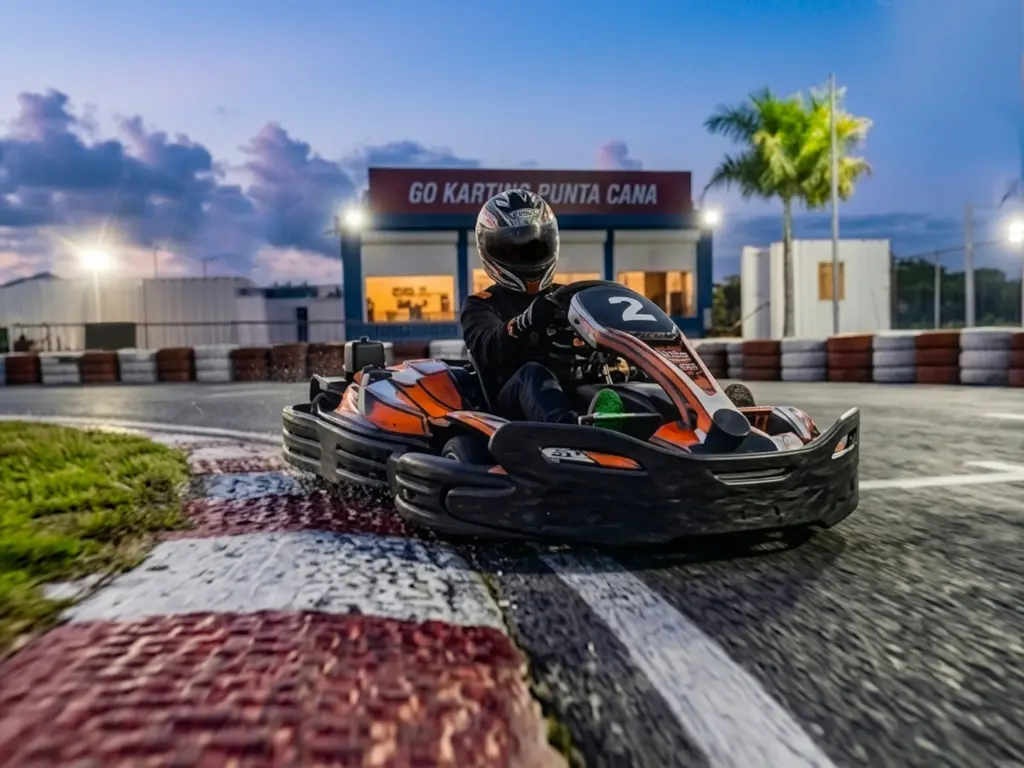 Go Kart Racing — photo 2