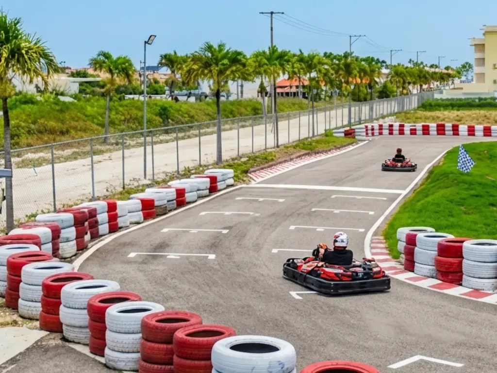 Go Kart Racing — photo 12