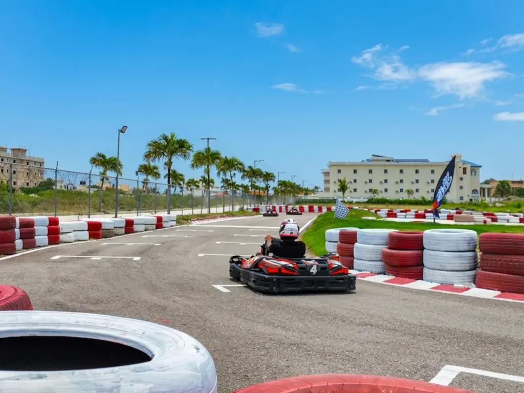Go Kart Racing — photo 13