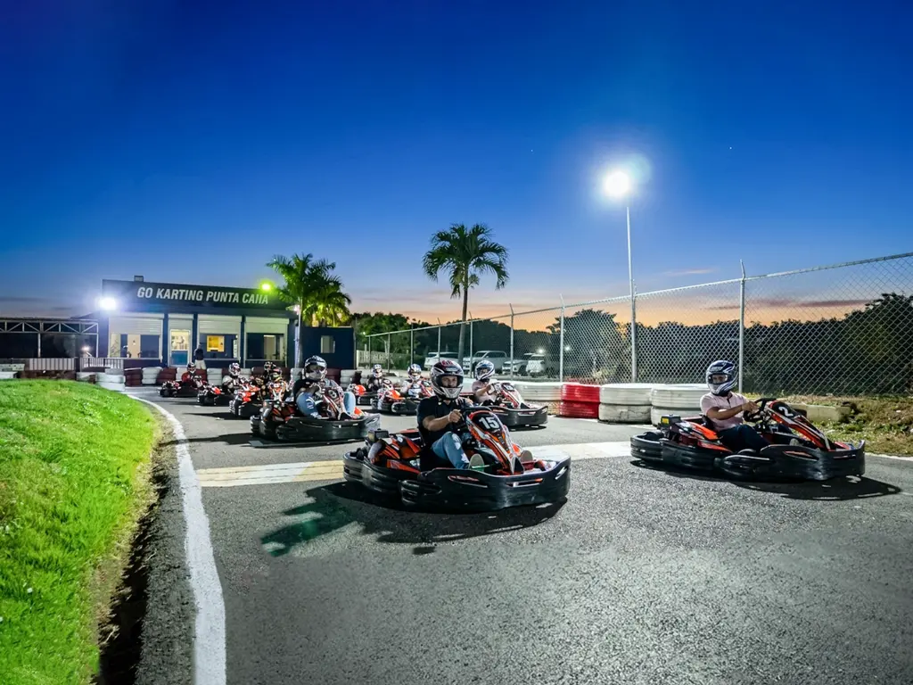 Go Kart Racing — photo 14