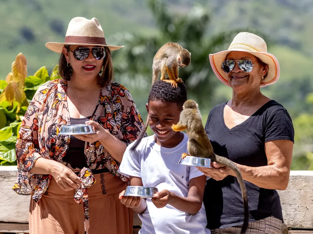 MonkeyLand — photo 11