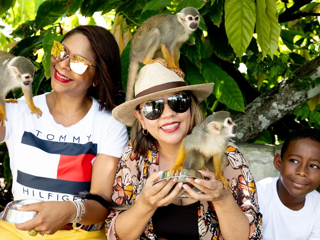MonkeyLand — photo 9