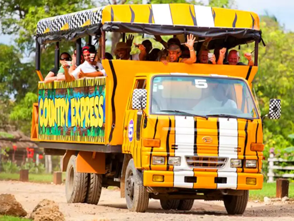 Safari Adventure Half Day