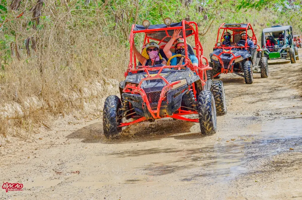 VIP Buggies — photo 9