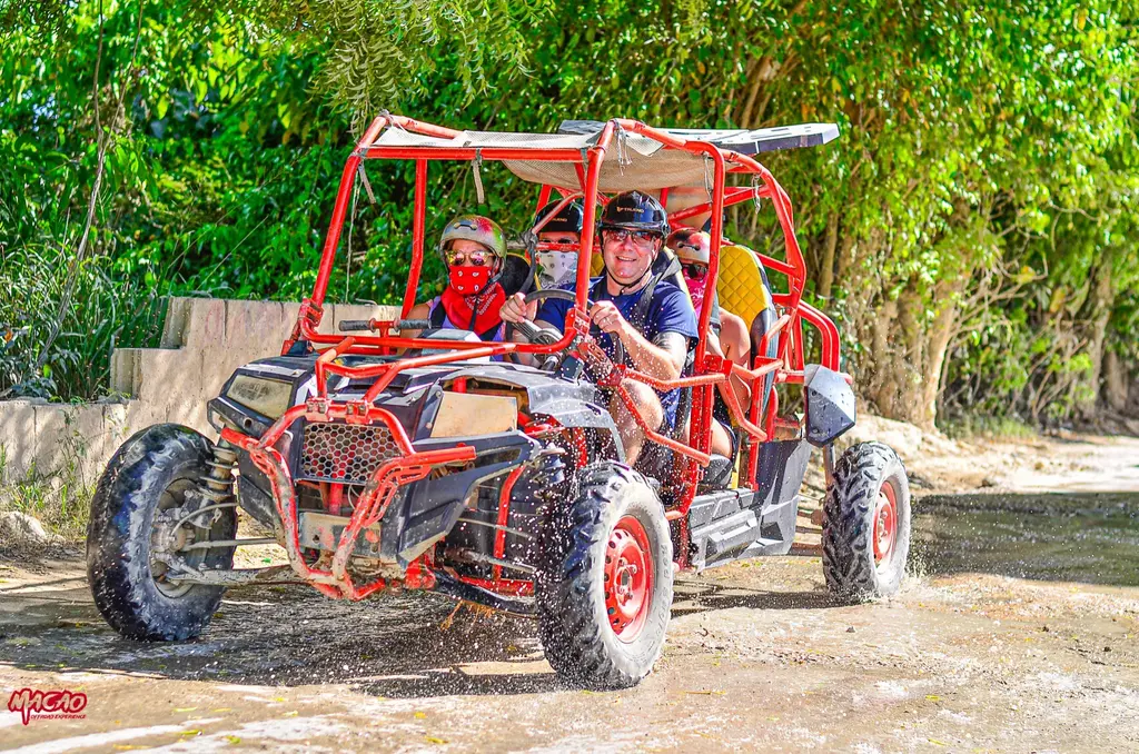 VIP Buggies