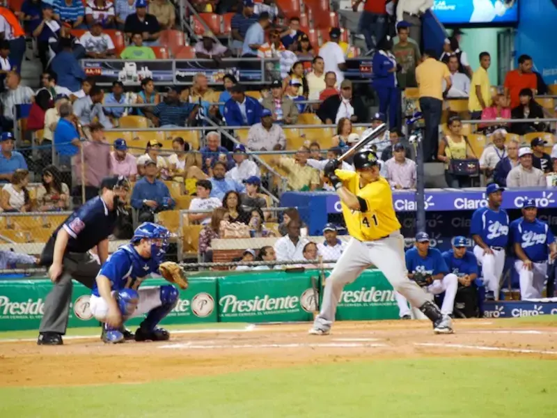 Dominican Winter Baseball