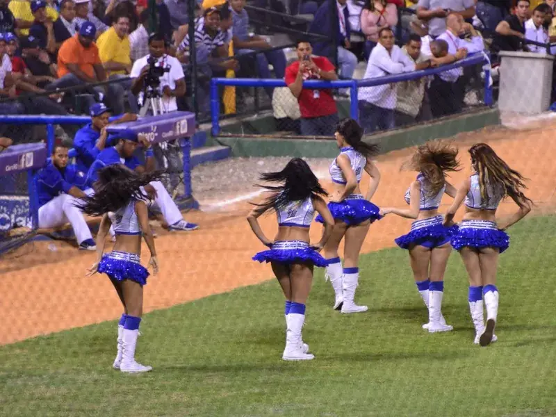 Winter Baseball — photo 16